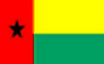 guinea Online phone number